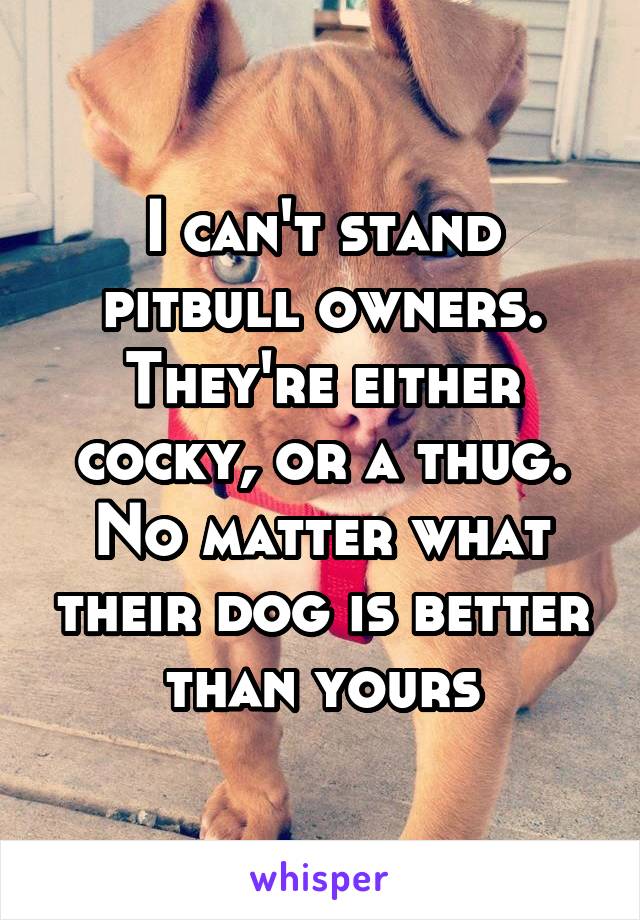 I can't stand pitbull owners. They're either cocky, or a thug. No matter what their dog is better than yours