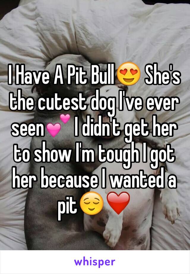 I Have A Pit Bull😍 She's the cutest dog I've ever seen💕 I didn't get her to show I'm tough I got her because I wanted a pit😌❤️ 