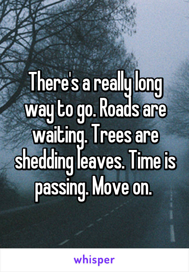 There's a really long way to go. Roads are waiting. Trees are shedding leaves. Time is passing. Move on. 