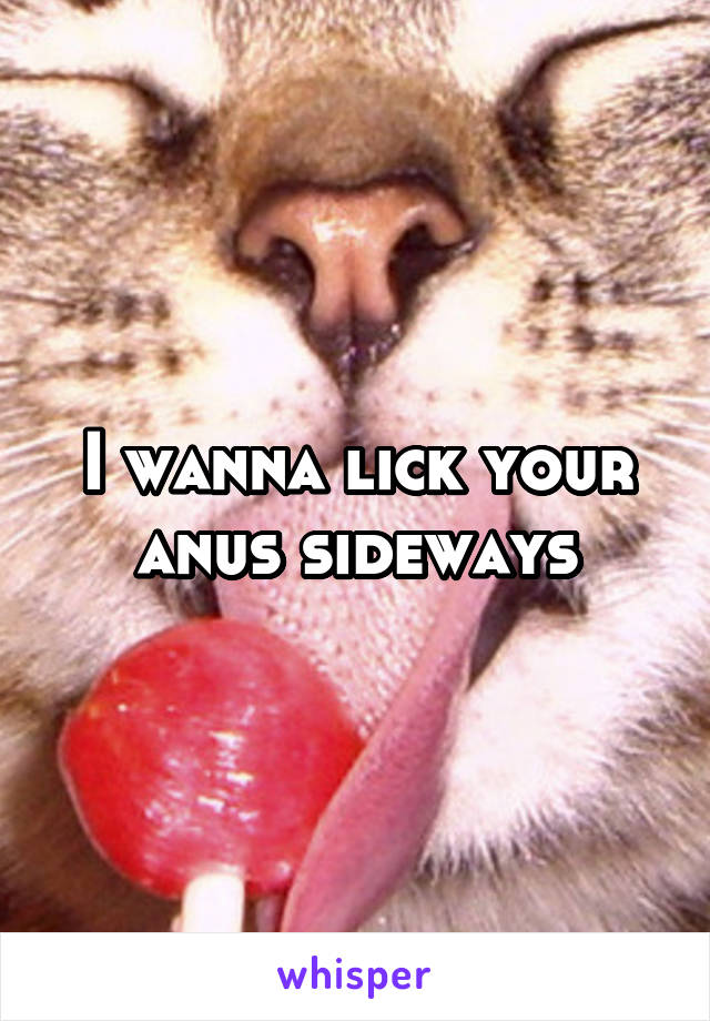 I wanna lick your anus sideways