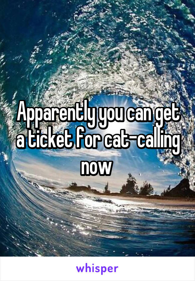 Apparently you can get a ticket for cat-calling now 