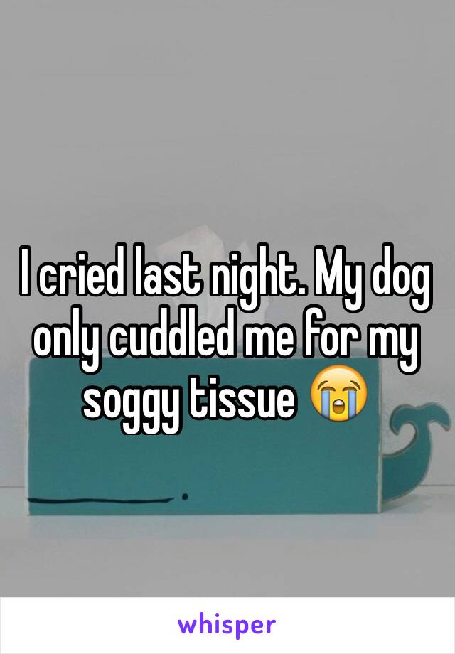 I cried last night. My dog only cuddled me for my soggy tissue 😭