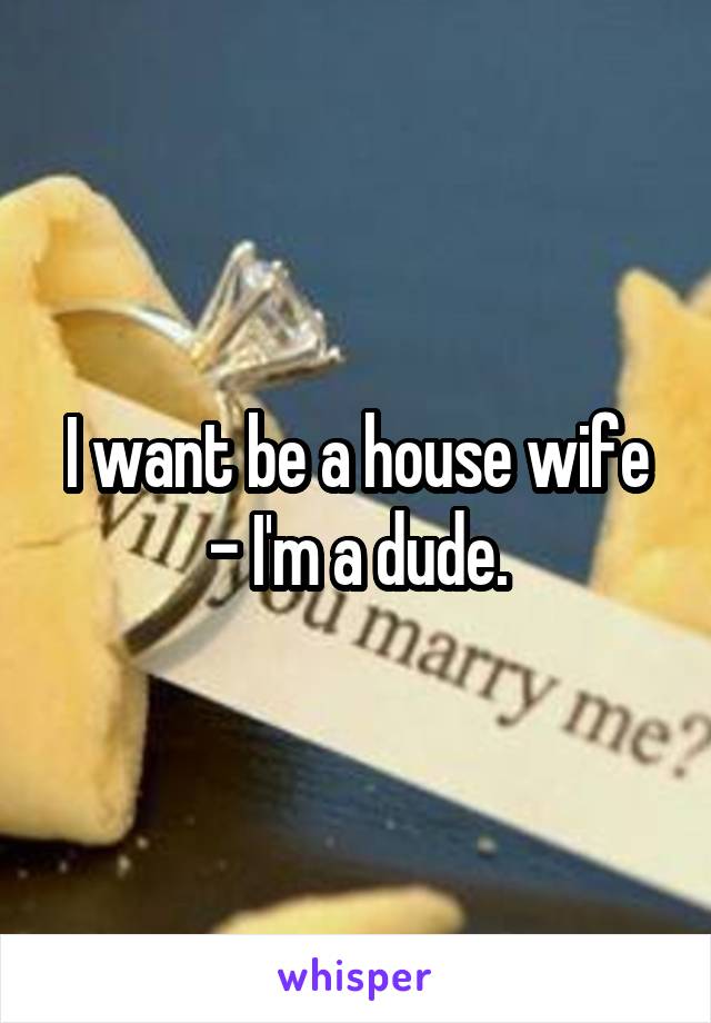 I want be a house wife - I'm a dude.