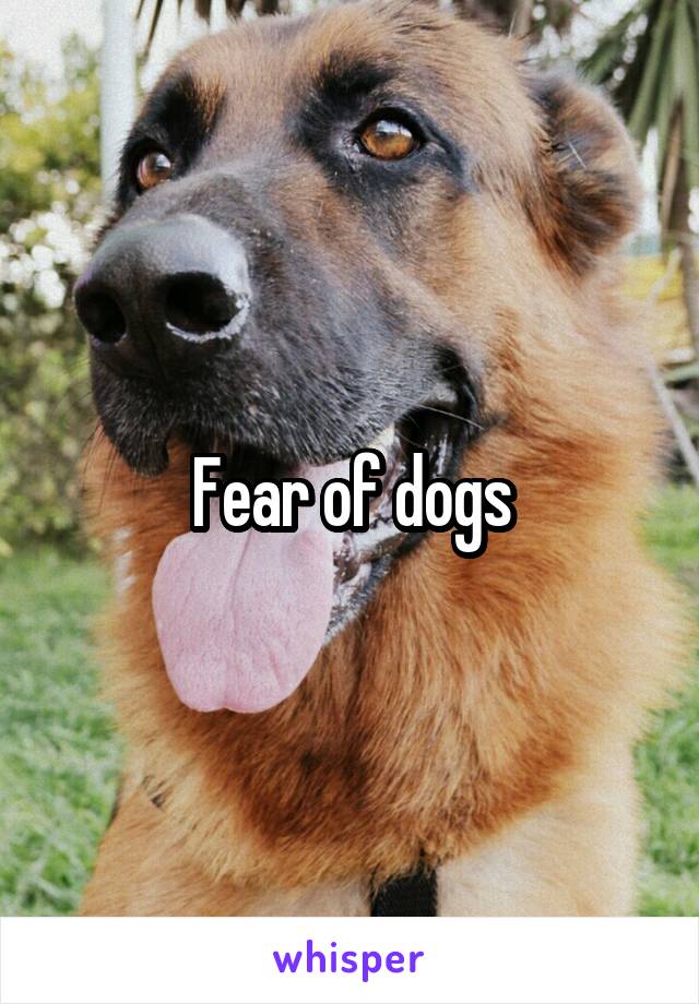 Fear of dogs