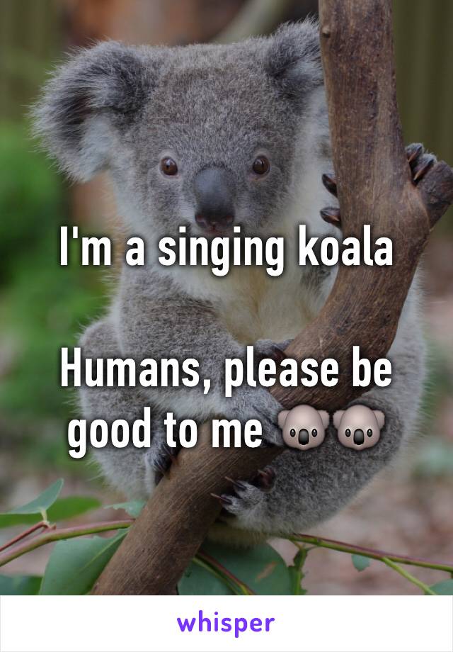 I'm a singing koala

Humans, please be good to me 🐨🐨