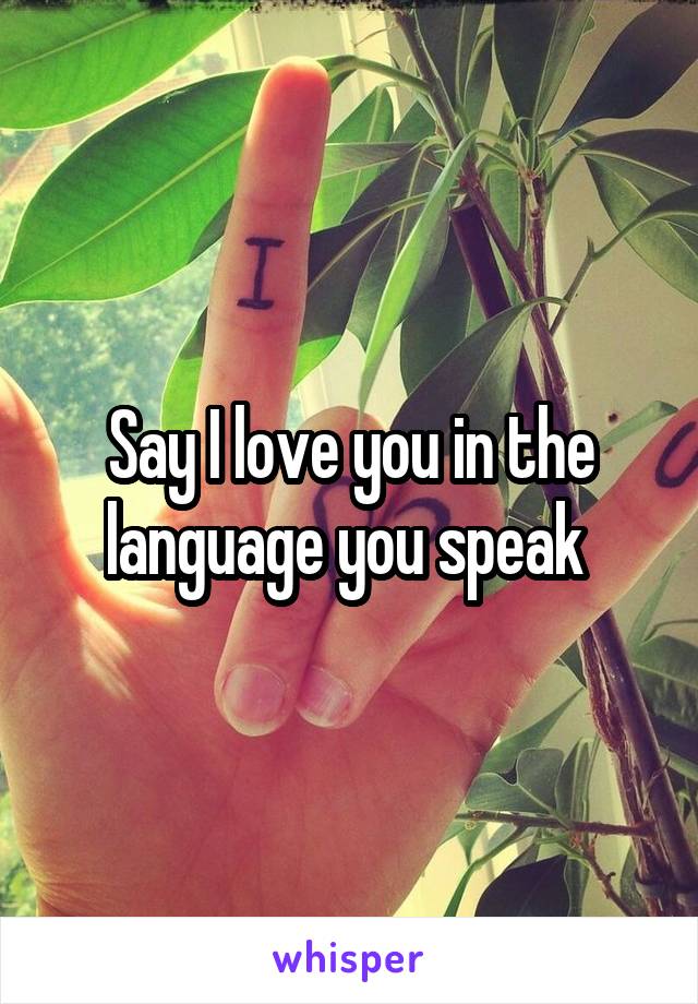 Say I love you in the language you speak 