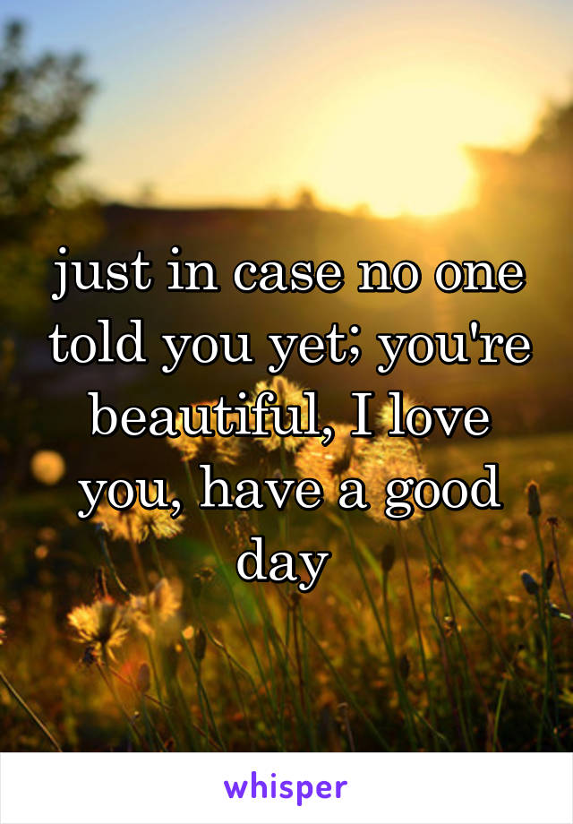 just in case no one told you yet; you're beautiful, I love you, have a good day 