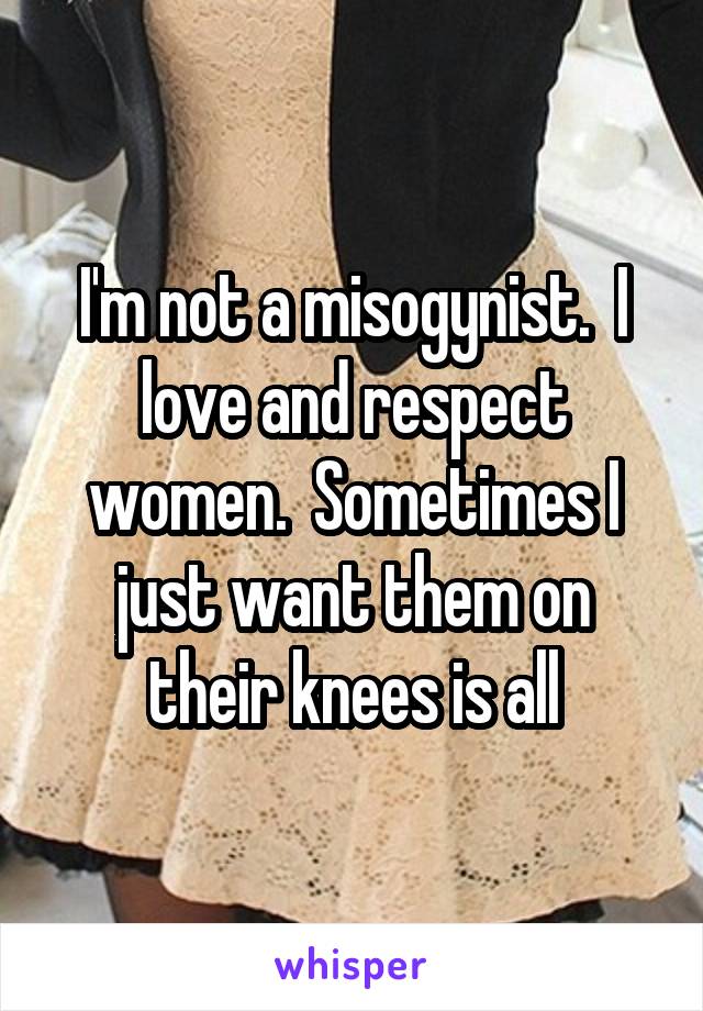 I'm not a misogynist.  I love and respect women.  Sometimes I just want them on their knees is all