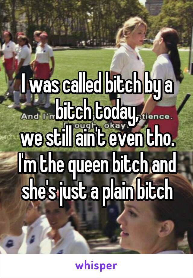 I was called bitch by a bitch today,
we still ain't even tho. I'm the queen bitch and she's just a plain bitch