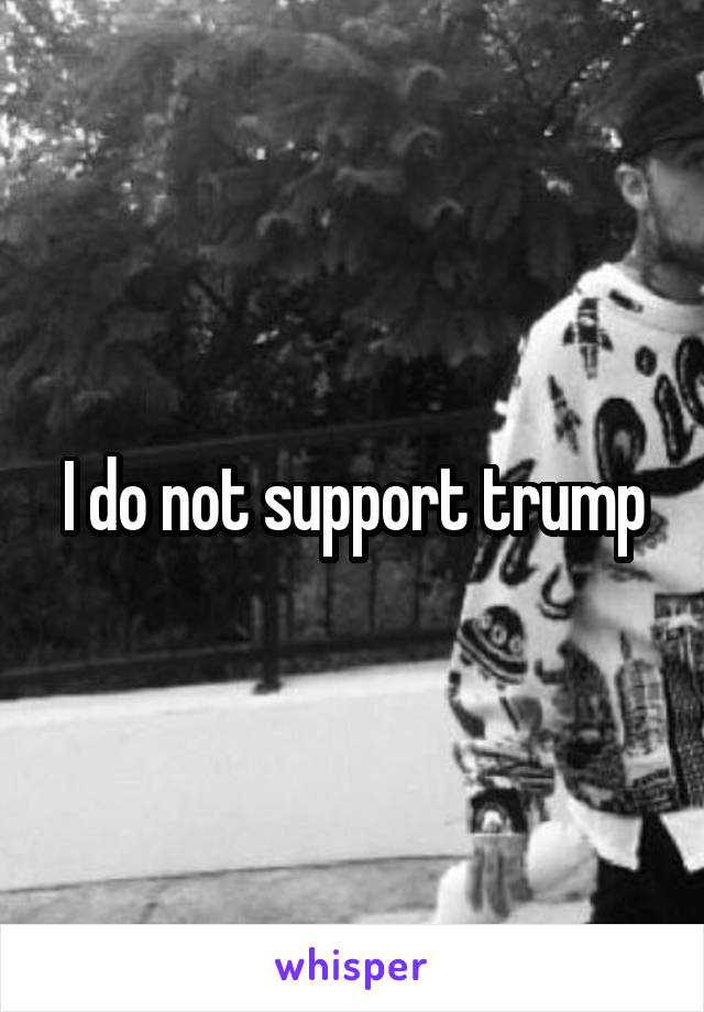 I do not support trump