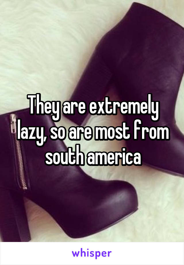 They are extremely lazy, so are most from south america