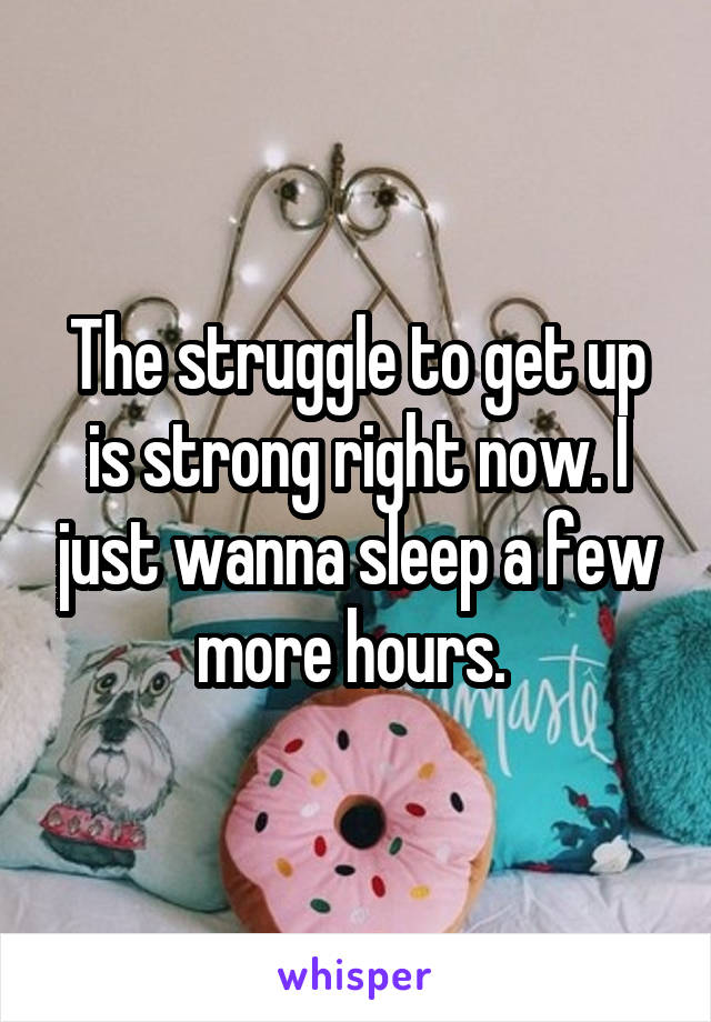 The struggle to get up is strong right now. I just wanna sleep a few more hours. 