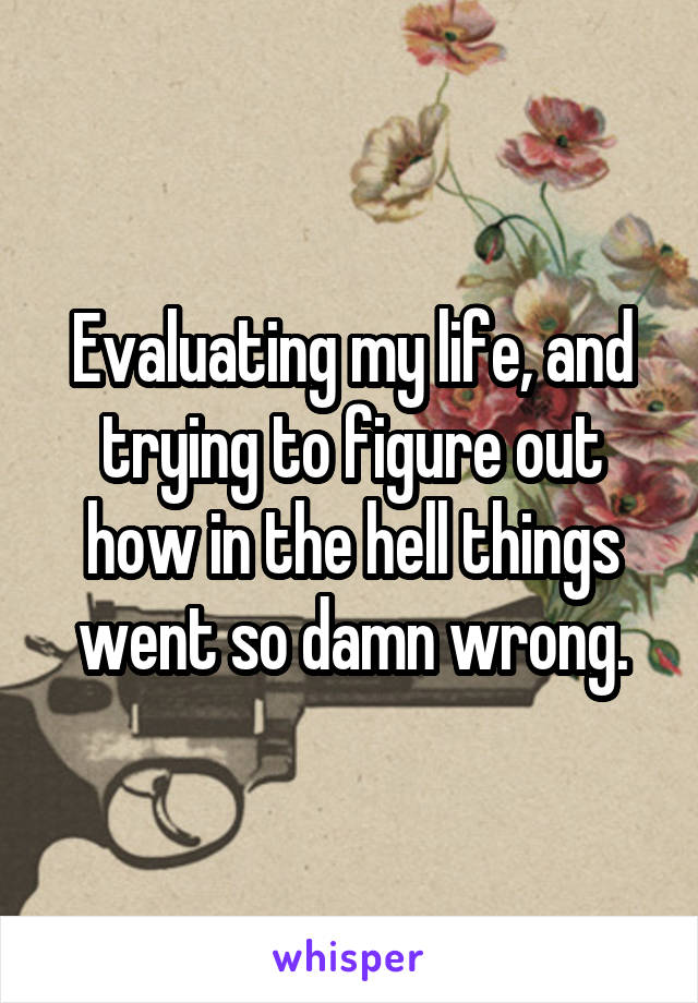 Evaluating my life, and trying to figure out how in the hell things went so damn wrong.