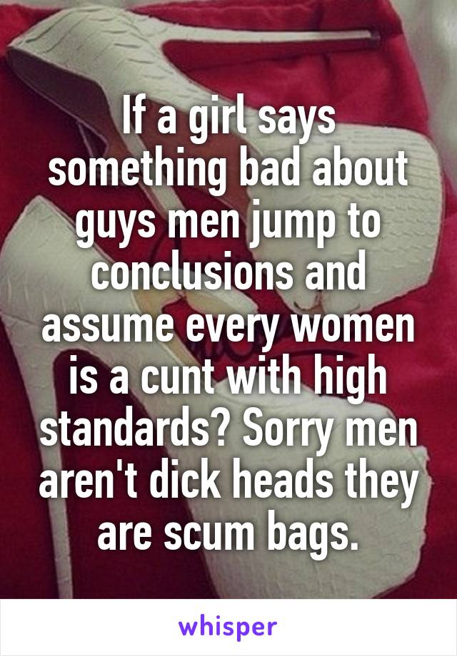 If a girl says something bad about guys men jump to conclusions and assume every women is a cunt with high standards? Sorry men aren't dick heads they are scum bags.