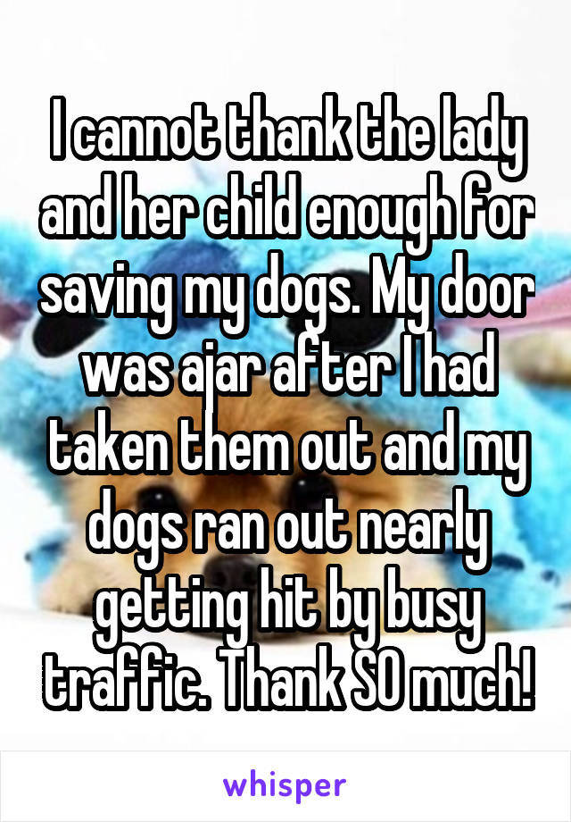 I cannot thank the lady and her child enough for saving my dogs. My door was ajar after I had taken them out and my dogs ran out nearly getting hit by busy traffic. Thank SO much!