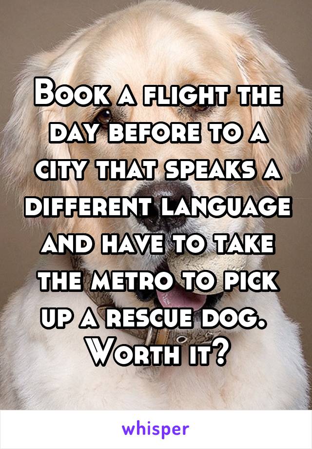 Book a flight the day before to a city that speaks a different language and have to take the metro to pick up a rescue dog. 
Worth it?