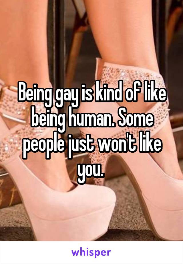 Being gay is kind of like being human. Some people just won't like you. 