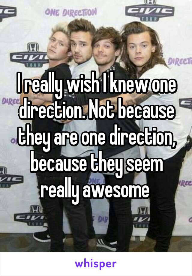 I really wish I knew one direction. Not because they are one direction, because they seem really awesome 