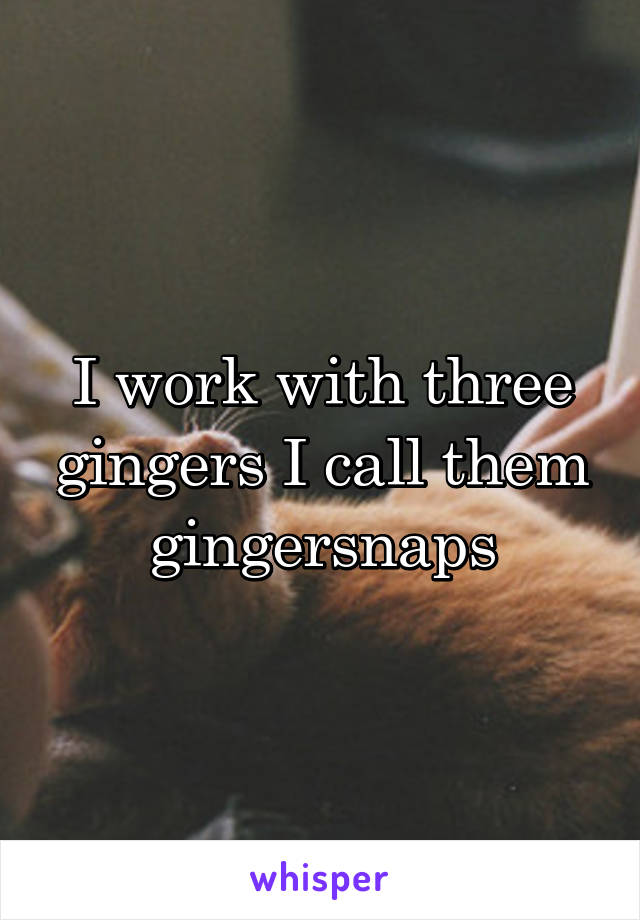 I work with three gingers I call them gingersnaps