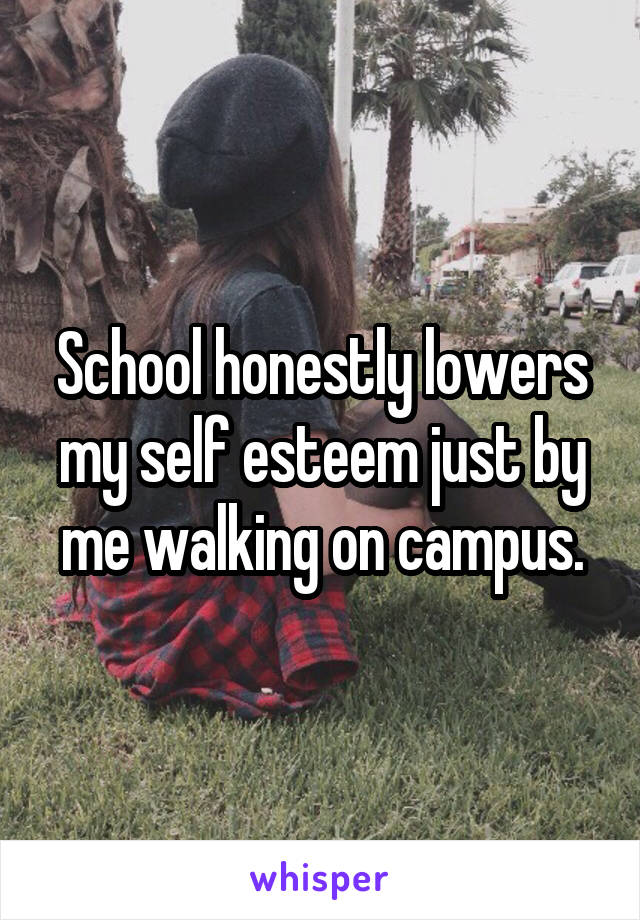 School honestly lowers my self esteem just by me walking on campus.