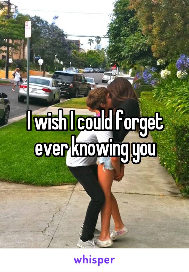 I wish I could forget ever knowing you