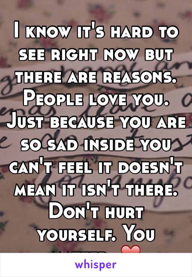 I know it's hard to see right now but there are reasons. People love you. Just because you are so sad inside you can't feel it doesn't mean it isn't there. Don't hurt yourself. You matter. ❤️