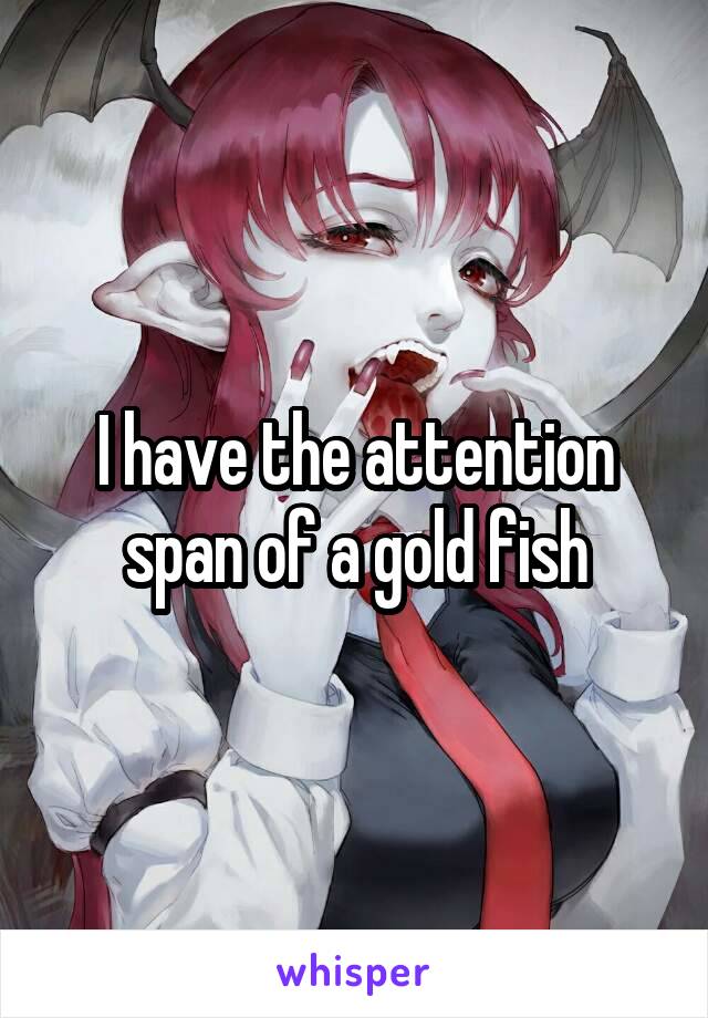 I have the attention span of a gold fish