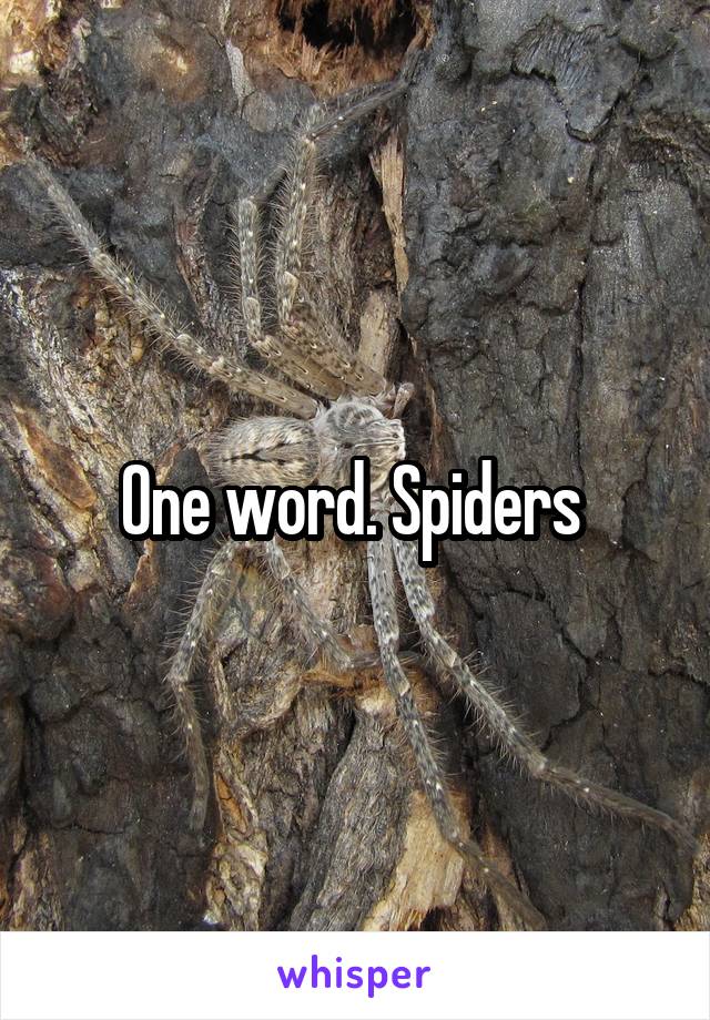 One word. Spiders 