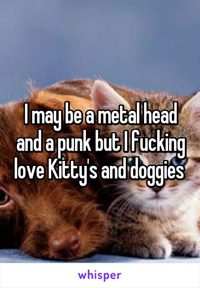 I may be a metal head and a punk but I fucking love Kitty's and doggies 