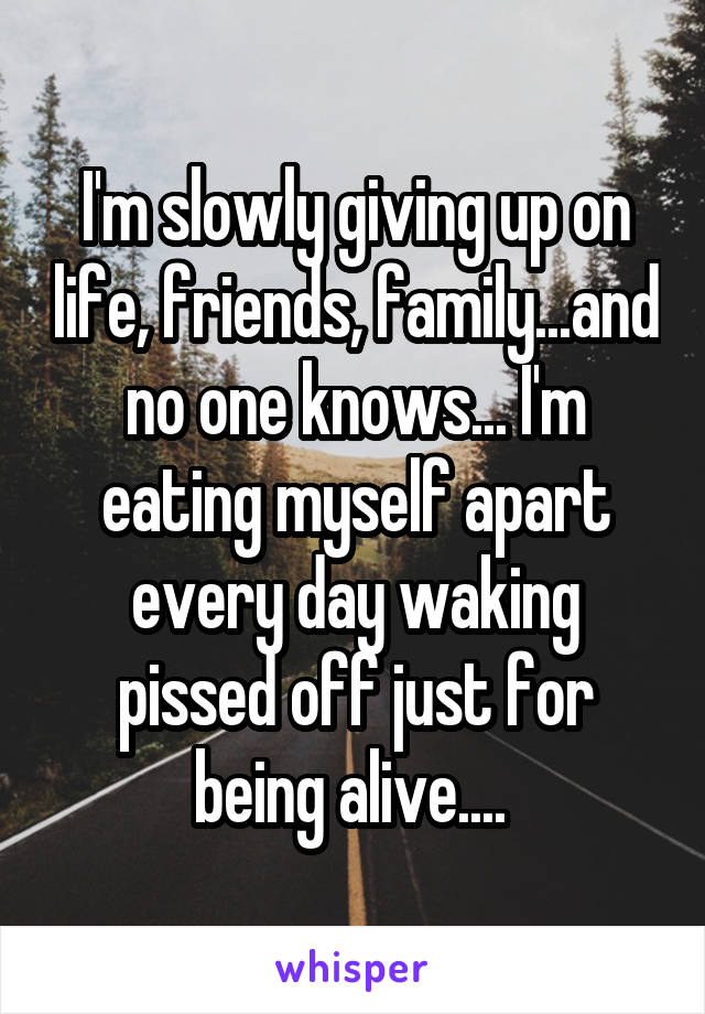 I'm slowly giving up on life, friends, family...and no one knows... I'm eating myself apart every day waking pissed off just for being alive.... 