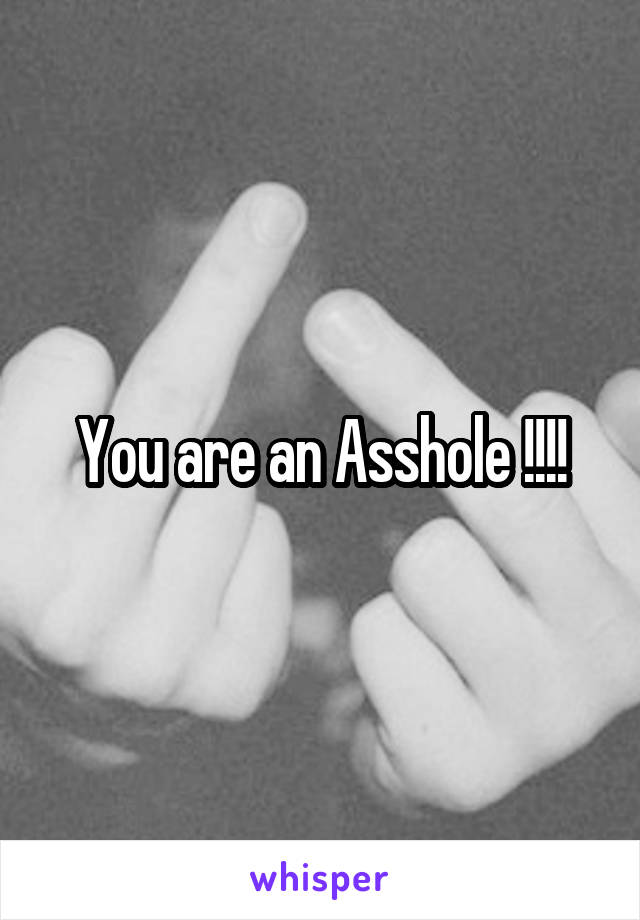 You are an Asshole !!!!