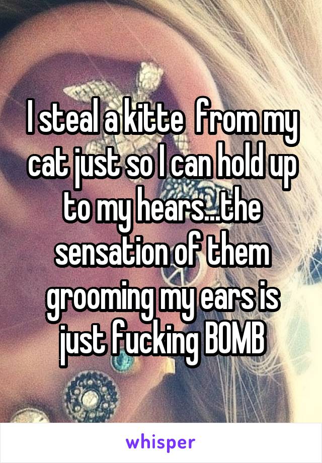 I steal a kitte  from my cat just so I can hold up to my hears...the sensation of them grooming my ears is just fucking BOMB