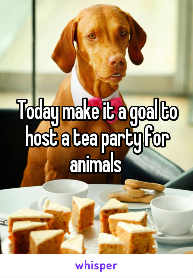 Today make it a goal to host a tea party for animals 