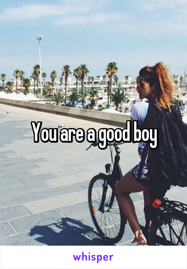 You are a good boy
