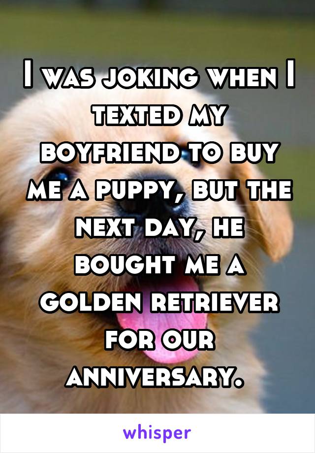 I was joking when I texted my boyfriend to buy me a puppy, but the next day, he bought me a golden retriever for our anniversary. 