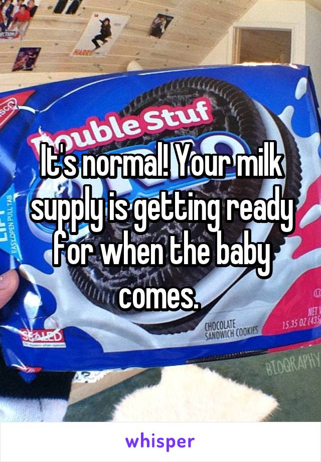 It's normal! Your milk supply is getting ready for when the baby comes. 