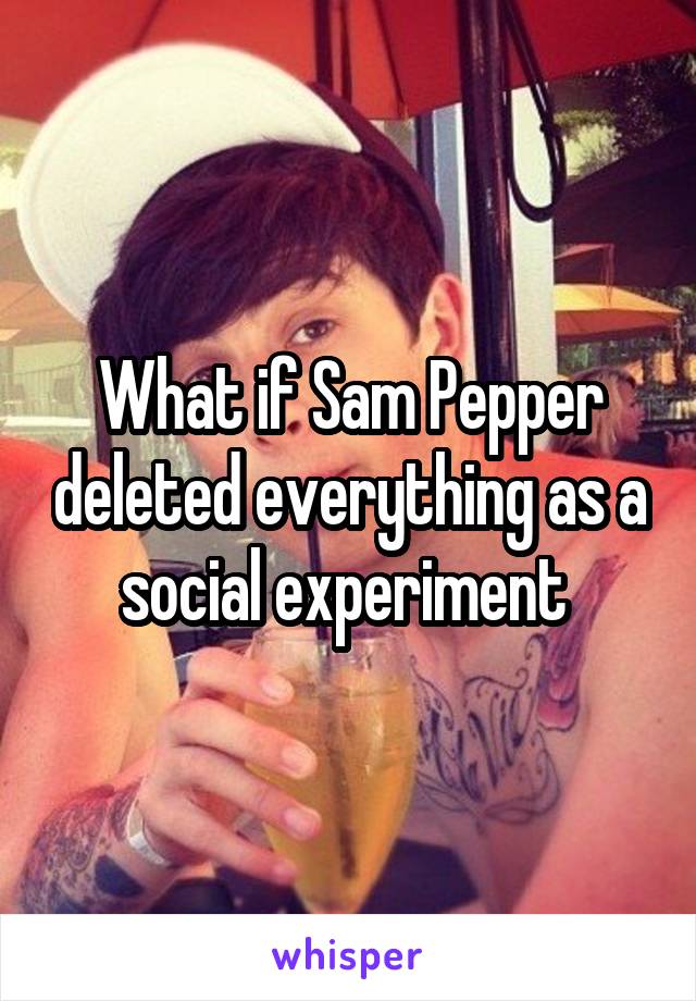 What if Sam Pepper deleted everything as a social experiment 