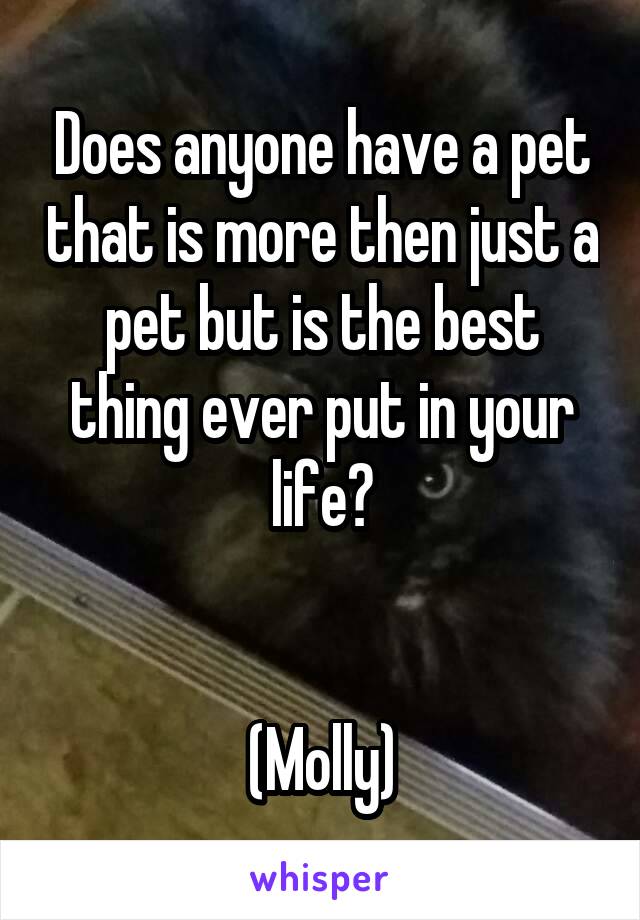 Does anyone have a pet that is more then just a pet but is the best thing ever put in your life?


(Molly)