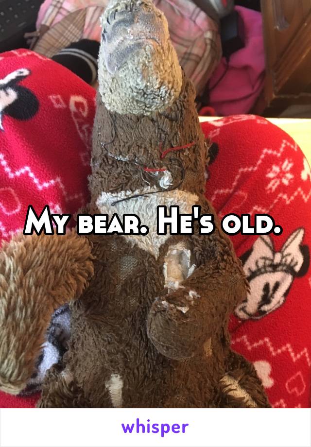 My bear. He's old. 