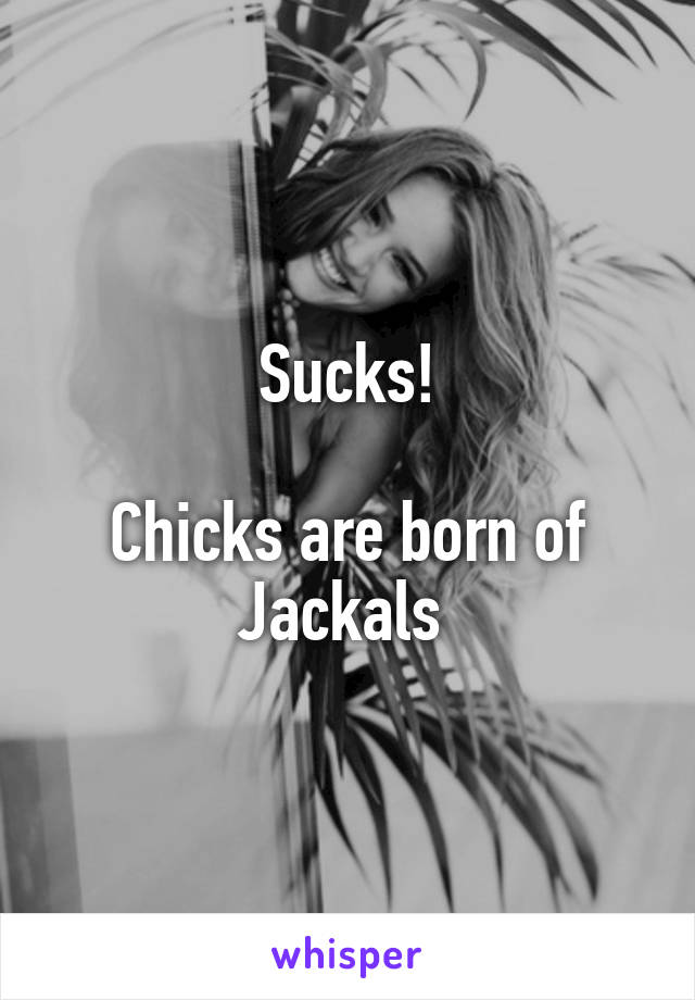 Sucks!

Chicks are born of Jackals 