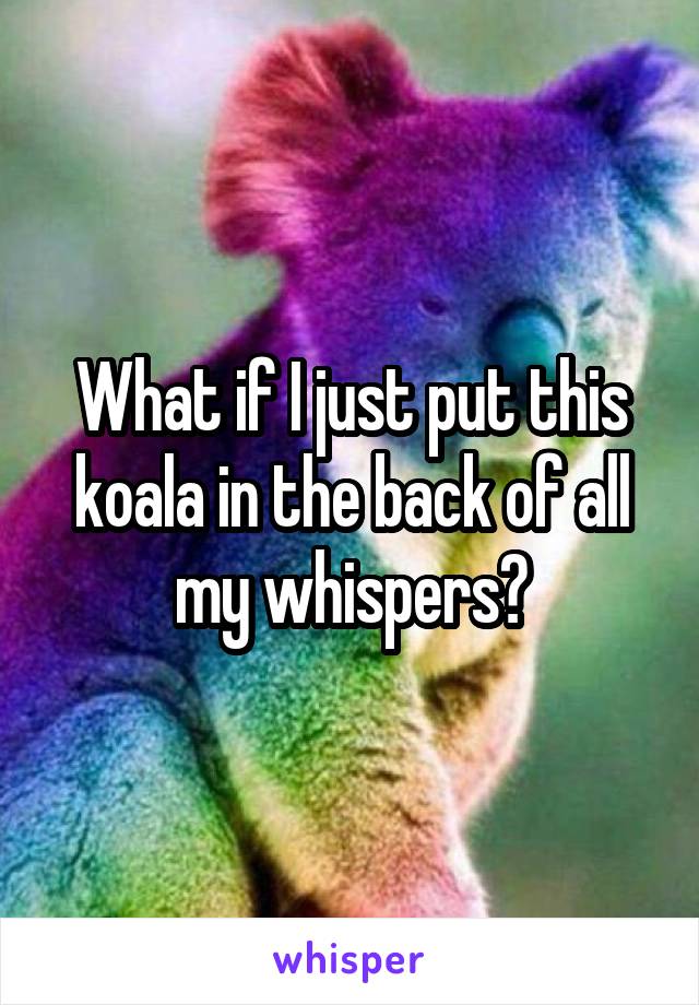 What if I just put this koala in the back of all my whispers?