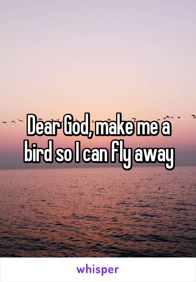 Dear God, make me a bird so I can fly away