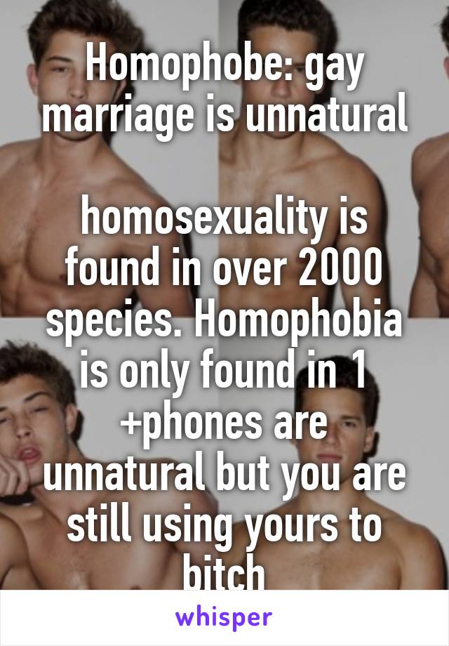 Homophobe: gay marriage is unnatural

homosexuality is found in over 2000 species. Homophobia is only found in 1
+phones are unnatural but you are still using yours to bitch