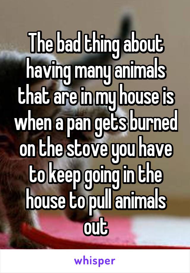 The bad thing about having many animals that are in my house is when a pan gets burned on the stove you have to keep going in the house to pull animals out