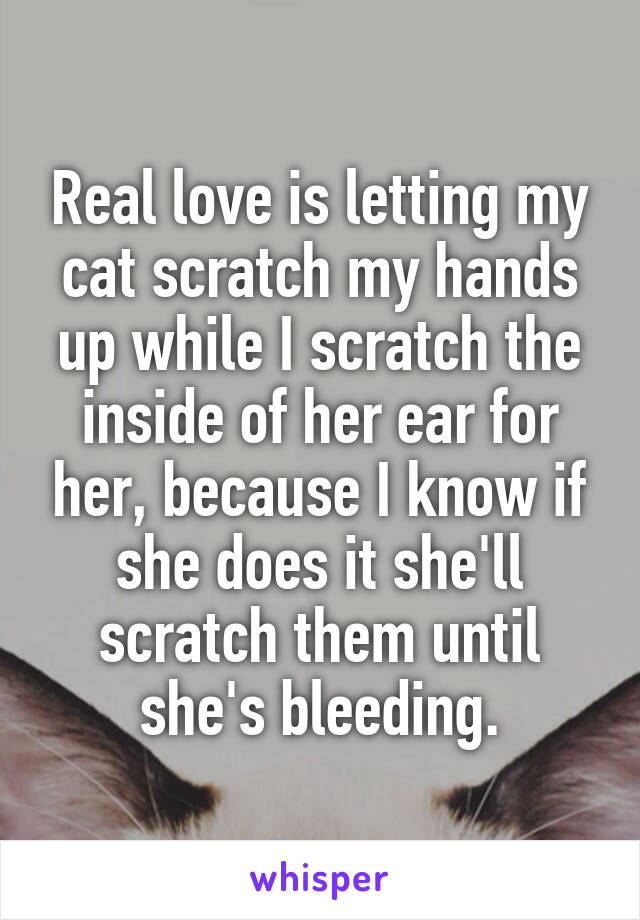 Real love is letting my cat scratch my hands up while I scratch the inside of her ear for her, because I know if she does it she'll scratch them until she's bleeding.