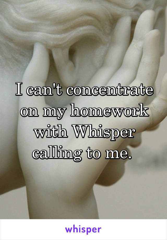 I can't concentrate on my homework with Whisper calling to me. 