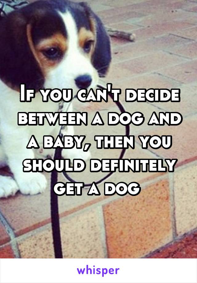 If you can't decide between a dog and a baby, then you should definitely get a dog 