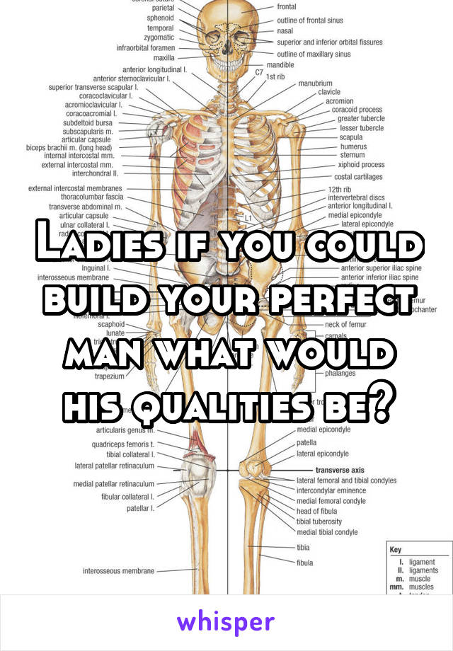 Ladies if you could build your perfect man what would his qualities be?