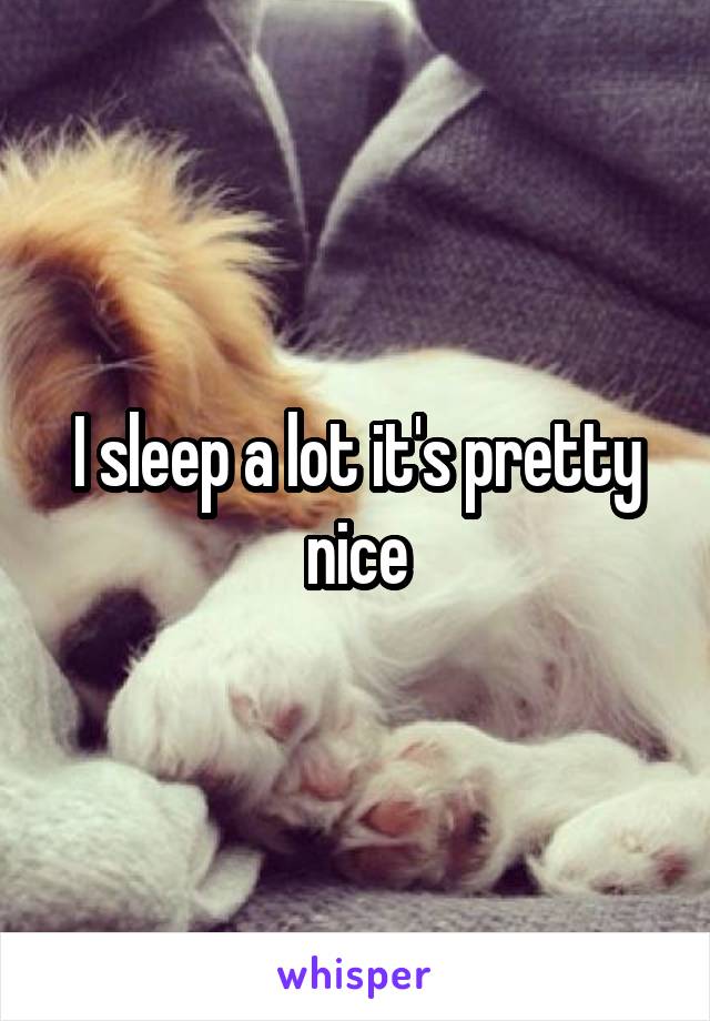 I sleep a lot it's pretty nice