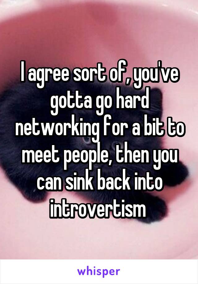 I agree sort of, you've gotta go hard networking for a bit to meet people, then you can sink back into introvertism 